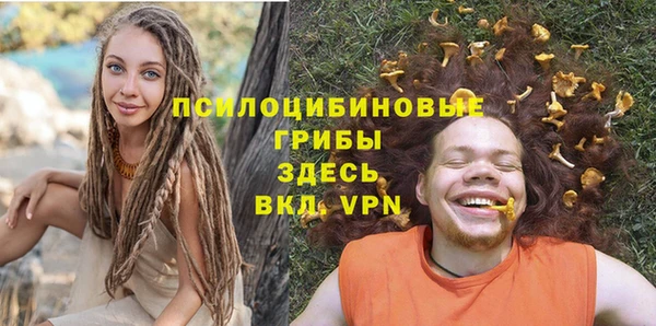 круглые Ельня