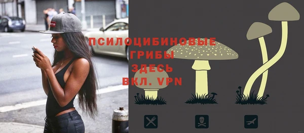 дмт Елабуга