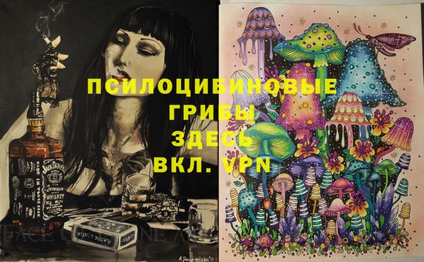 дмт Елабуга