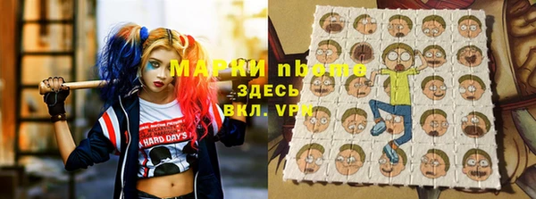 дмт Елабуга