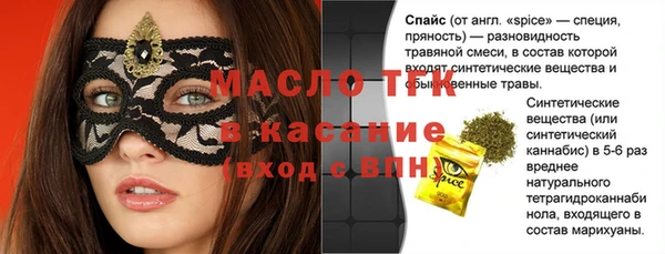 дмт Елабуга
